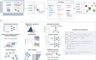Probabilistic Models for Single-Cell Data